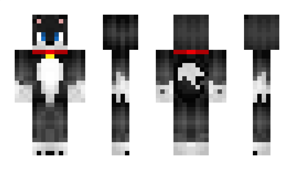 DerEchteWenner Minecraft Skin