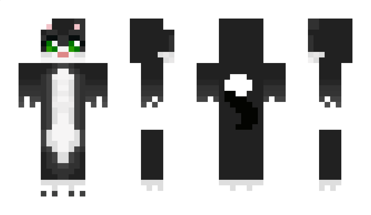 Grogou Minecraft Skin