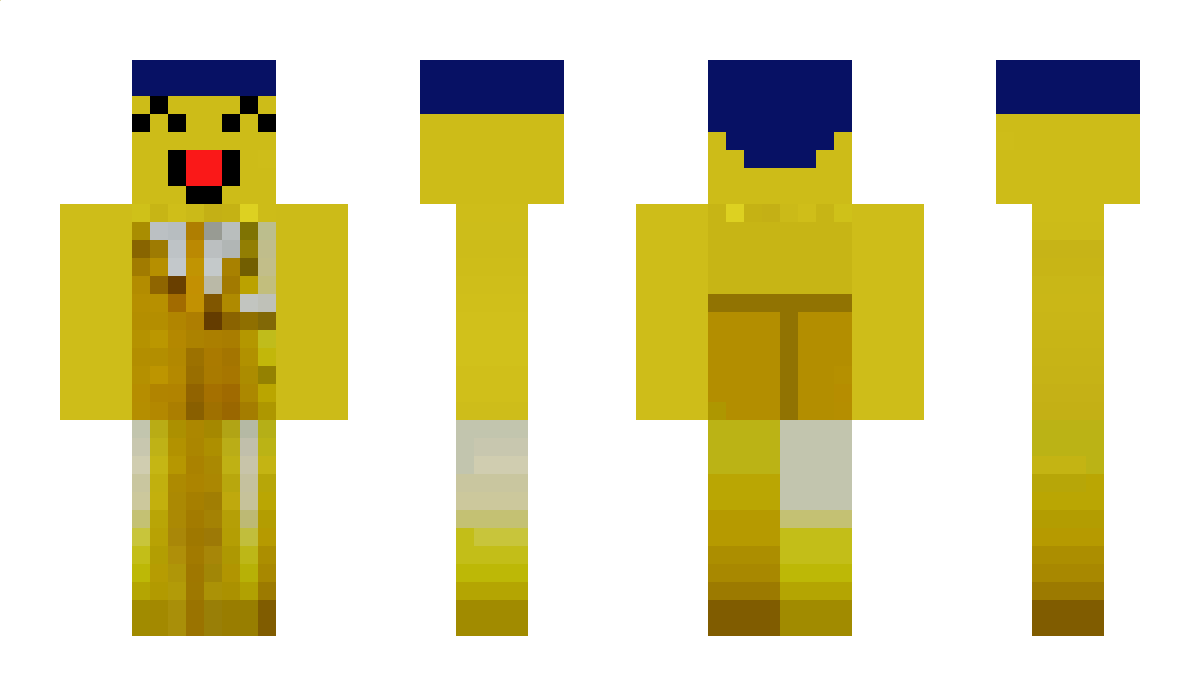 arceus4526 Minecraft Skin