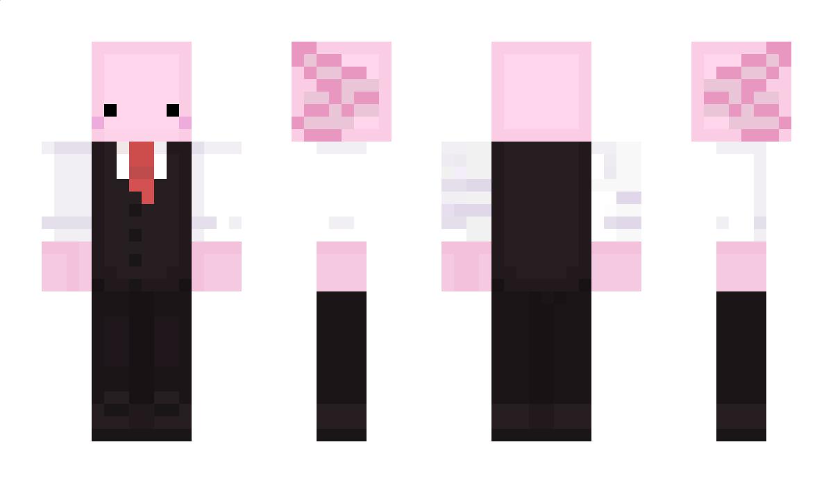 Timel1nez Minecraft Skin