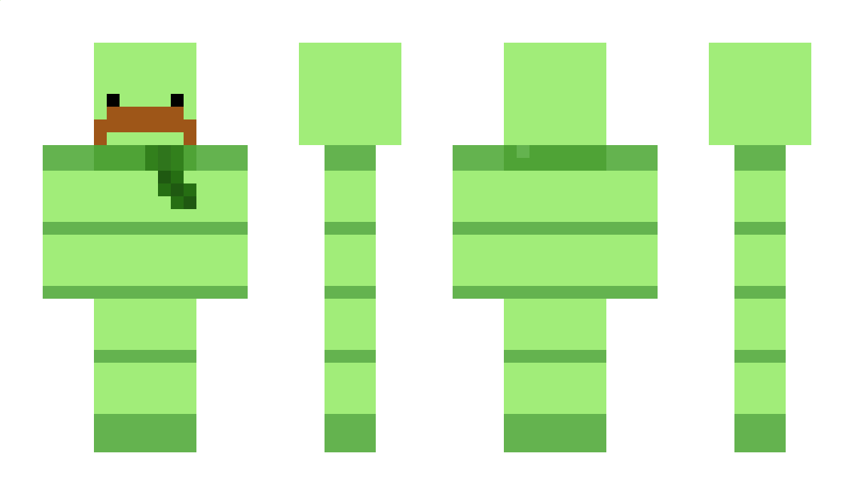 BambooBandit Minecraft Skin