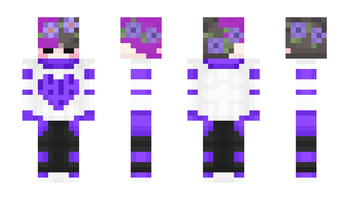 Nexsi66 Minecraft Skin