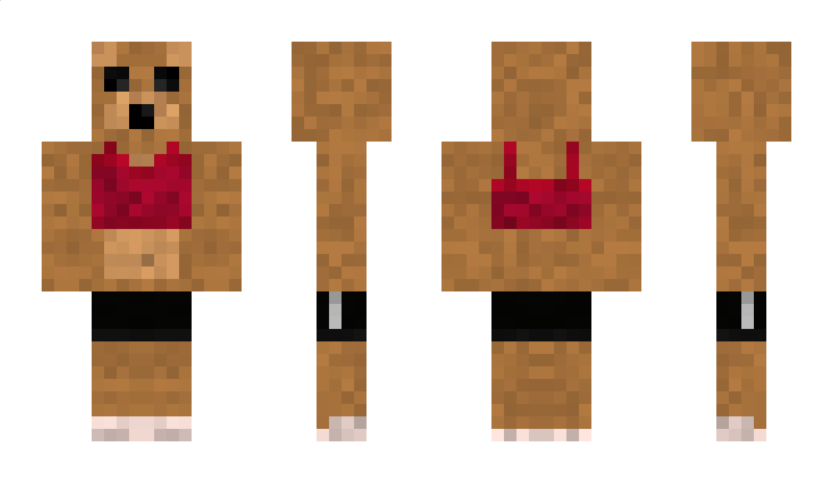 PXL Minecraft Skin