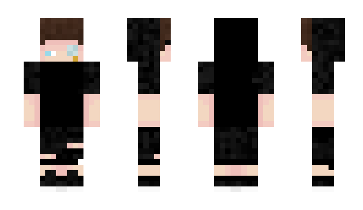 Pallete Minecraft Skin