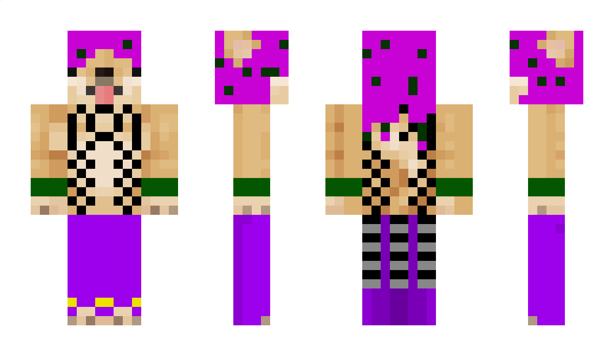 DiaVologe Minecraft Skin