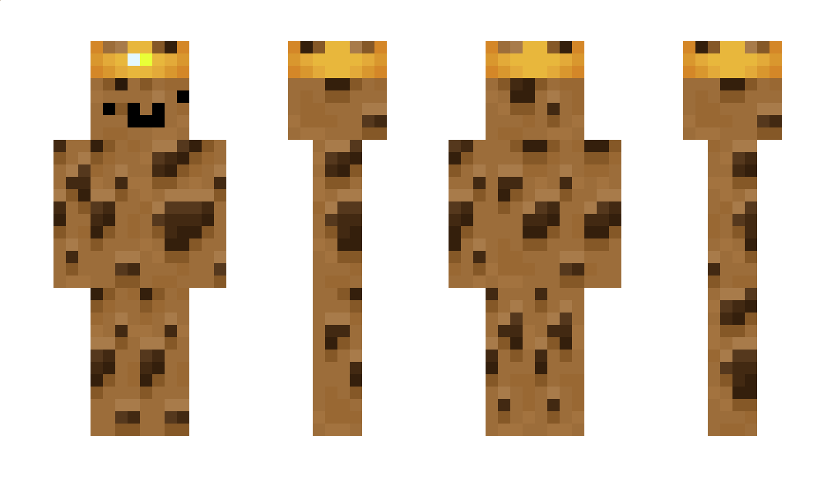 t_t69 Minecraft Skin