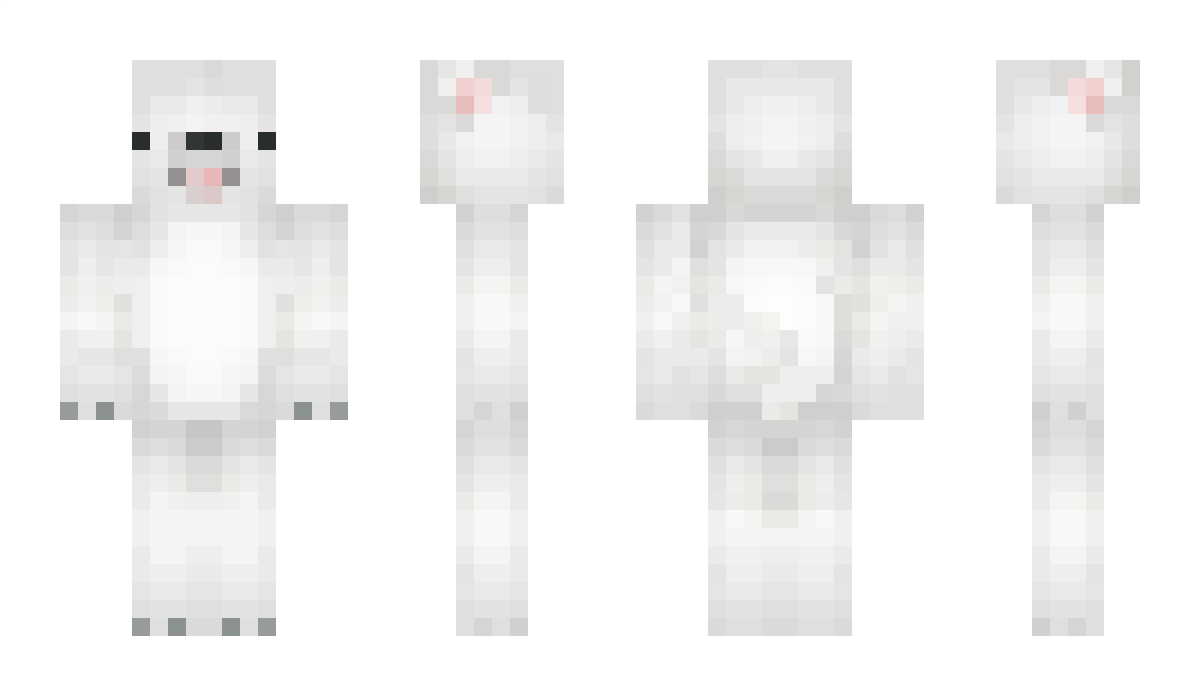 Parfums11011 Minecraft Skin