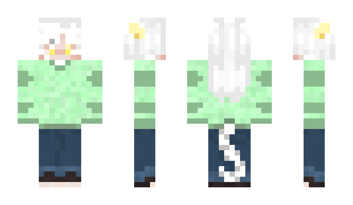 Silverthorns Minecraft Skin