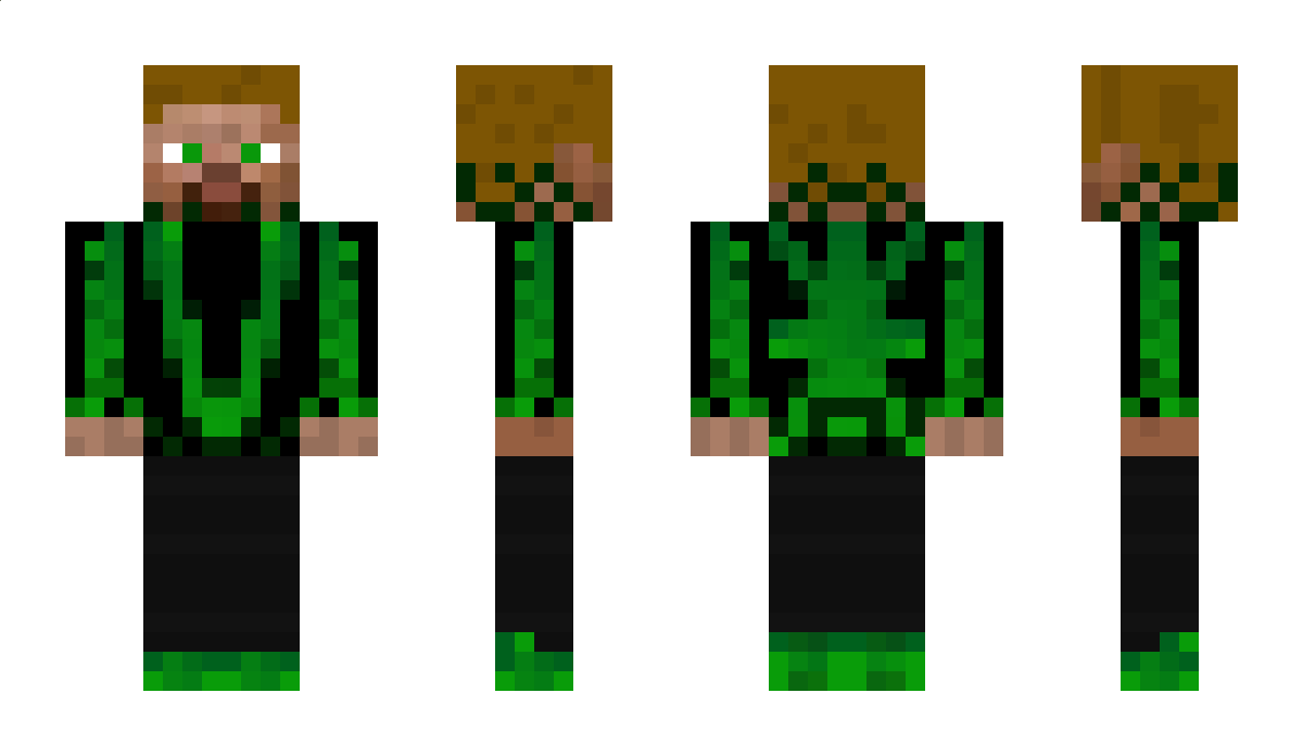 LionMaster2011 Minecraft Skin