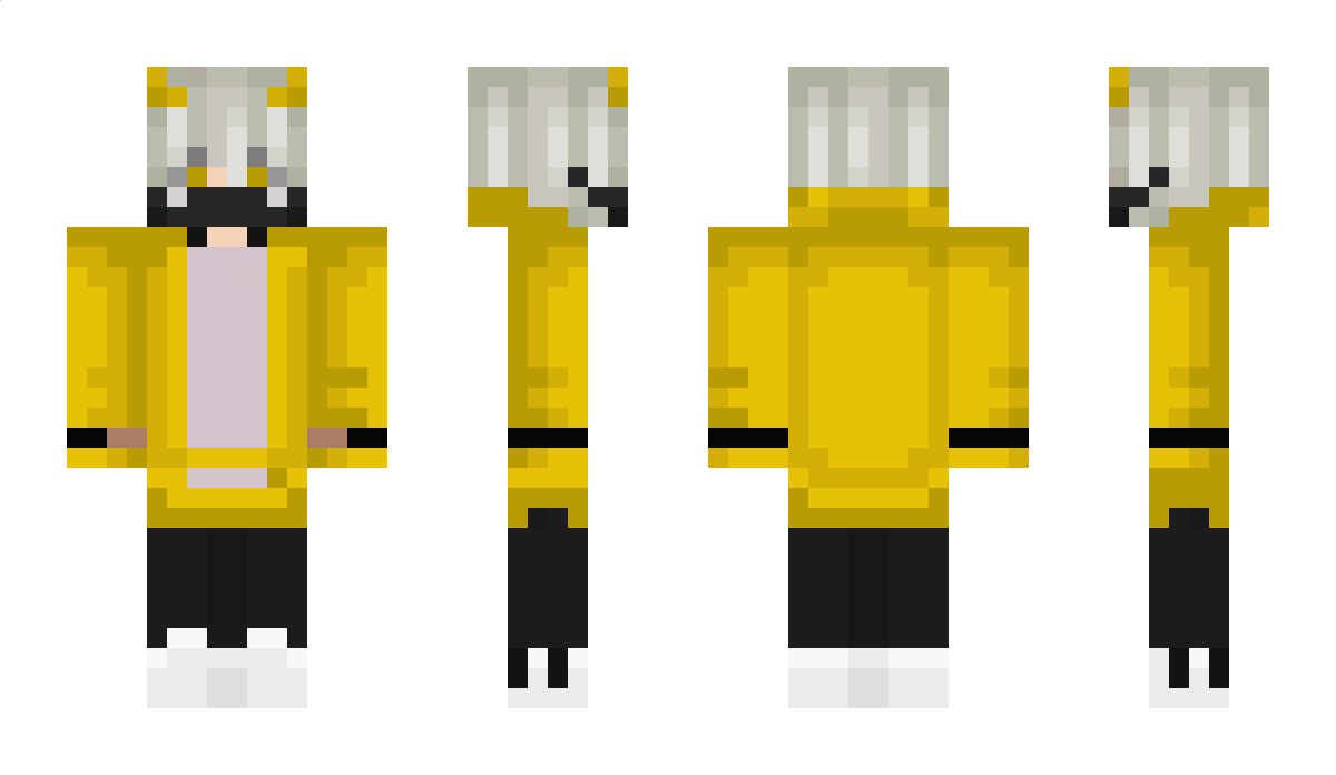 pixelMC_709 Minecraft Skin
