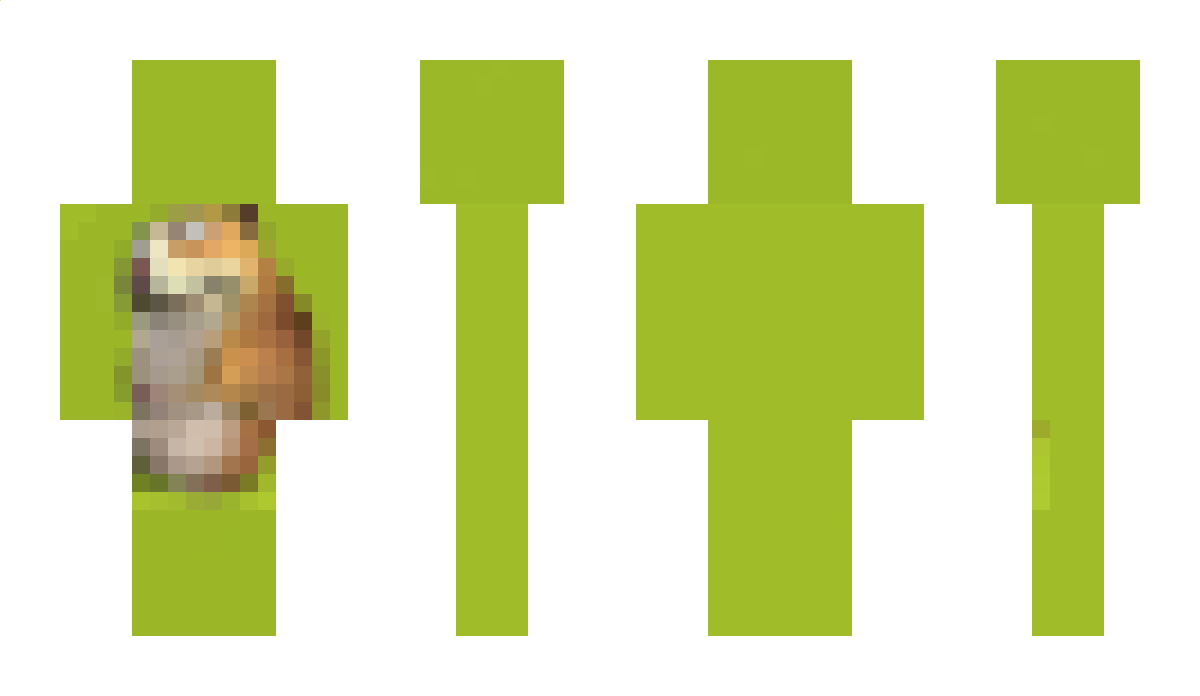 tomimer Minecraft Skin