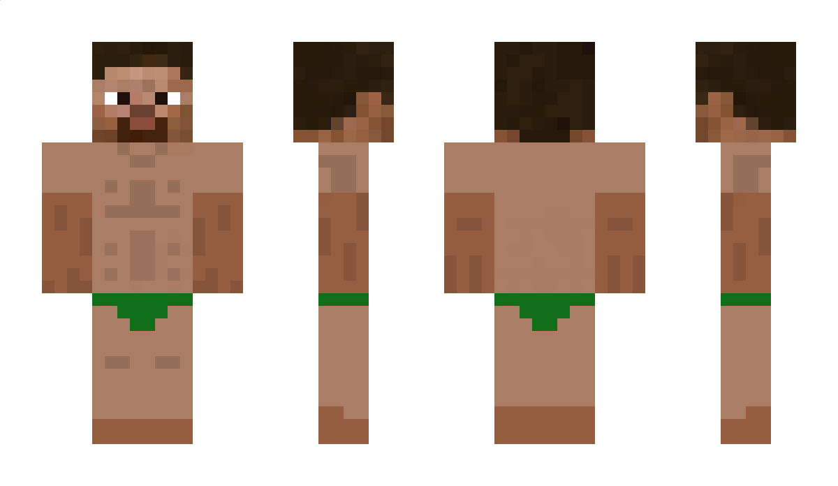 brounz Minecraft Skin