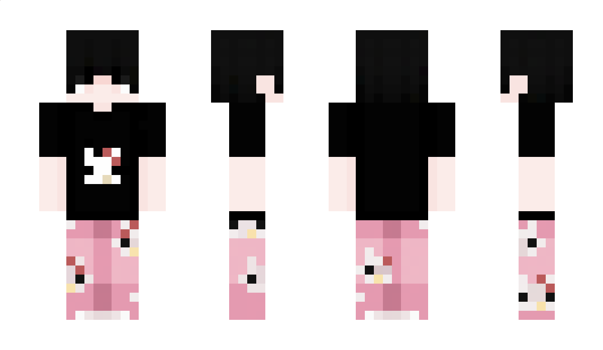 Passably Minecraft Skin