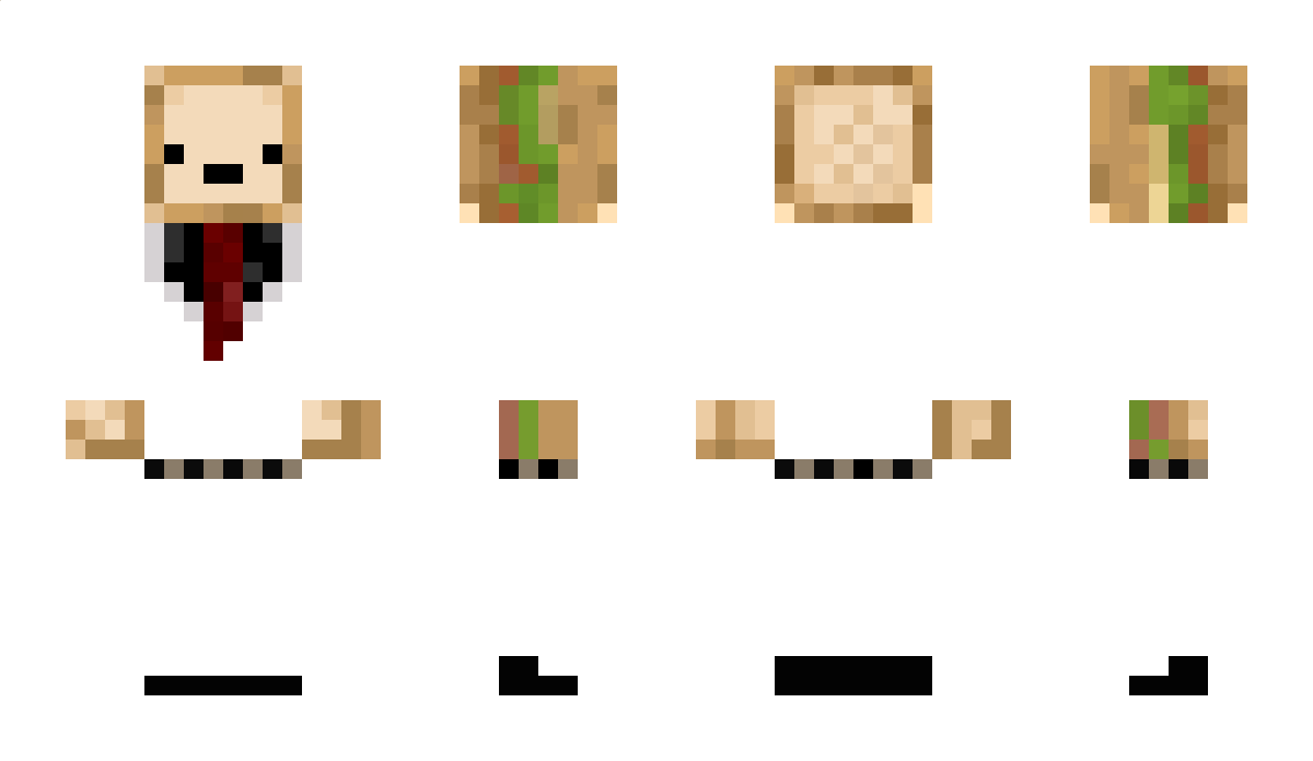 noToastforu Minecraft Skin