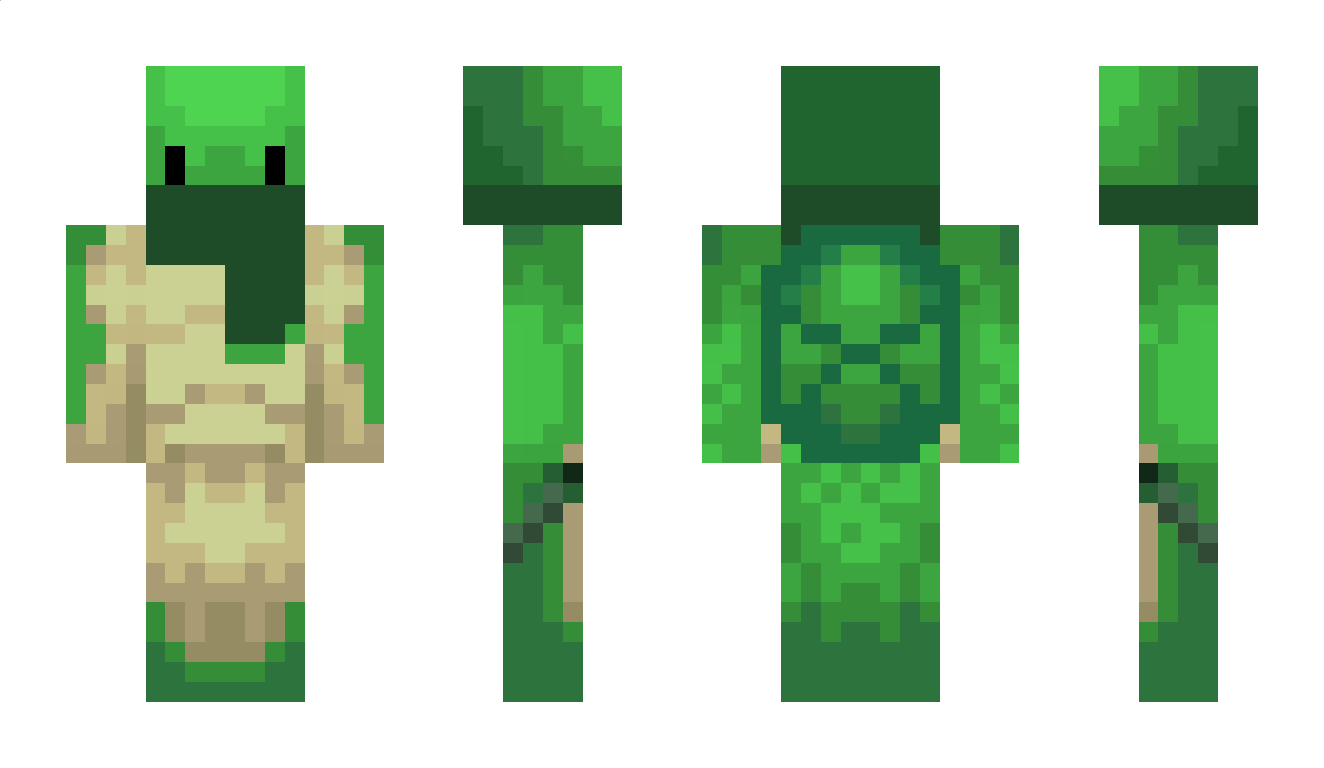 mercuryturtle Minecraft Skin