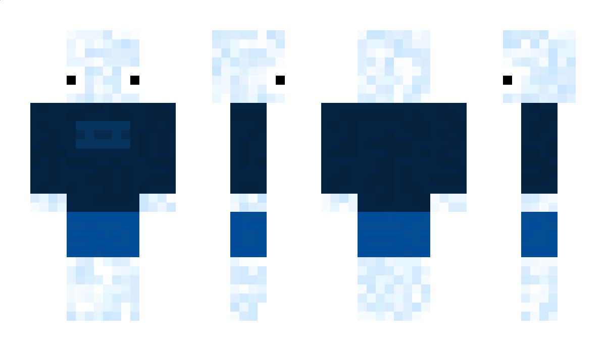 delfinekdan Minecraft Skin