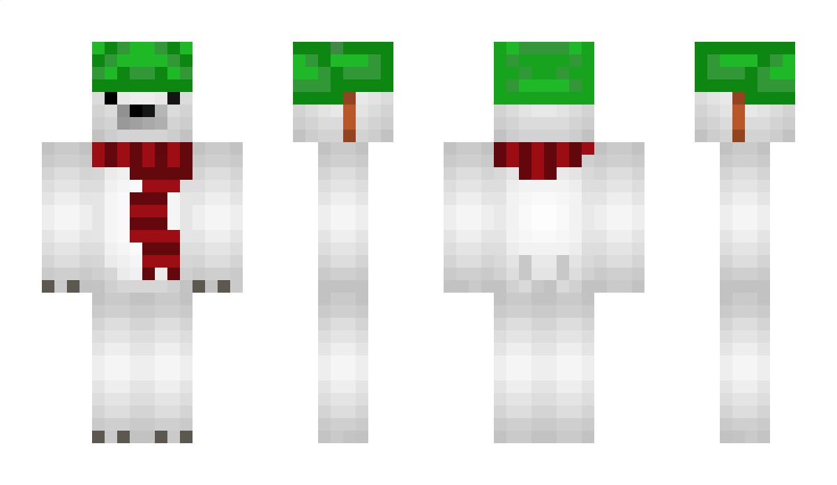 DaVid_802 Minecraft Skin