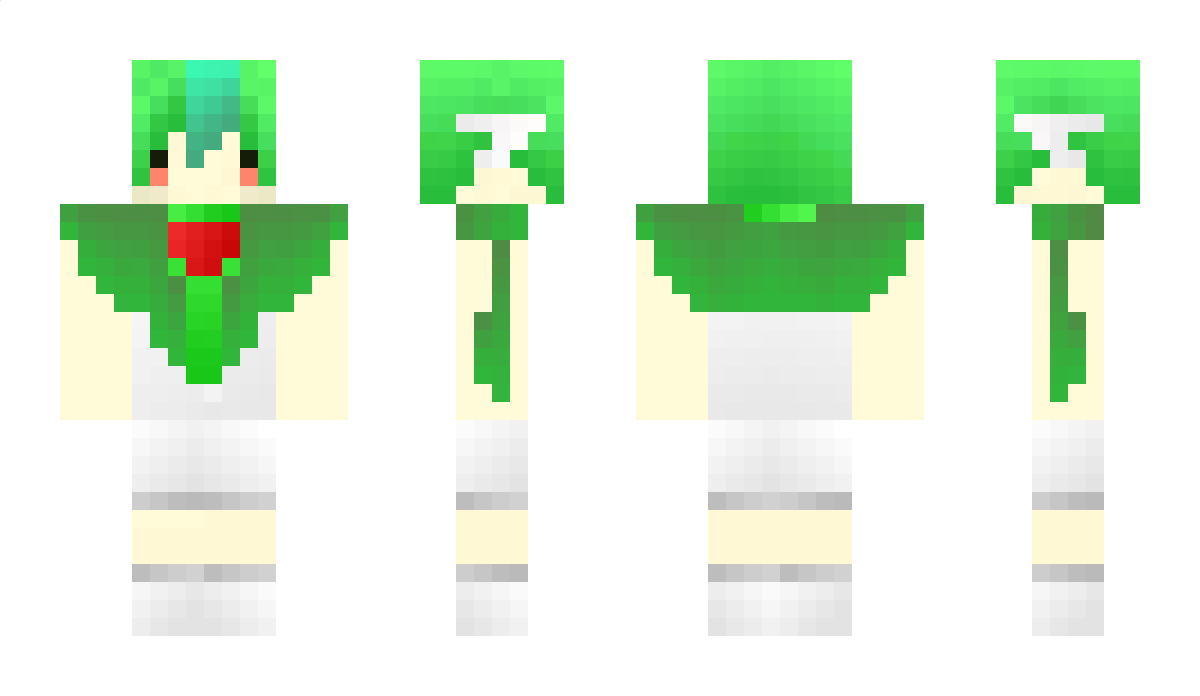 araxis Minecraft Skin