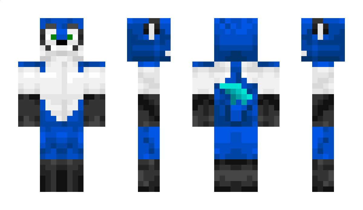 skygamer125 Minecraft Skin