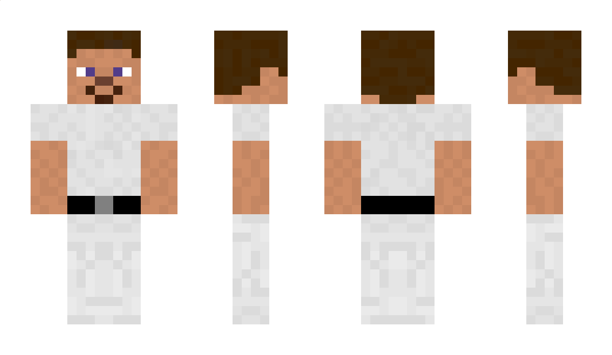 Titans Minecraft Skin