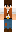 Tyler2597 Minecraft Skin