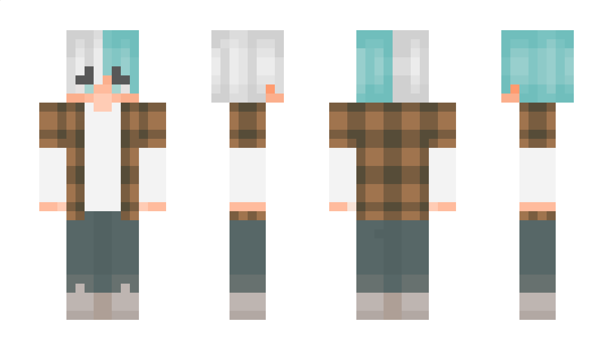 Pricee Minecraft Skin