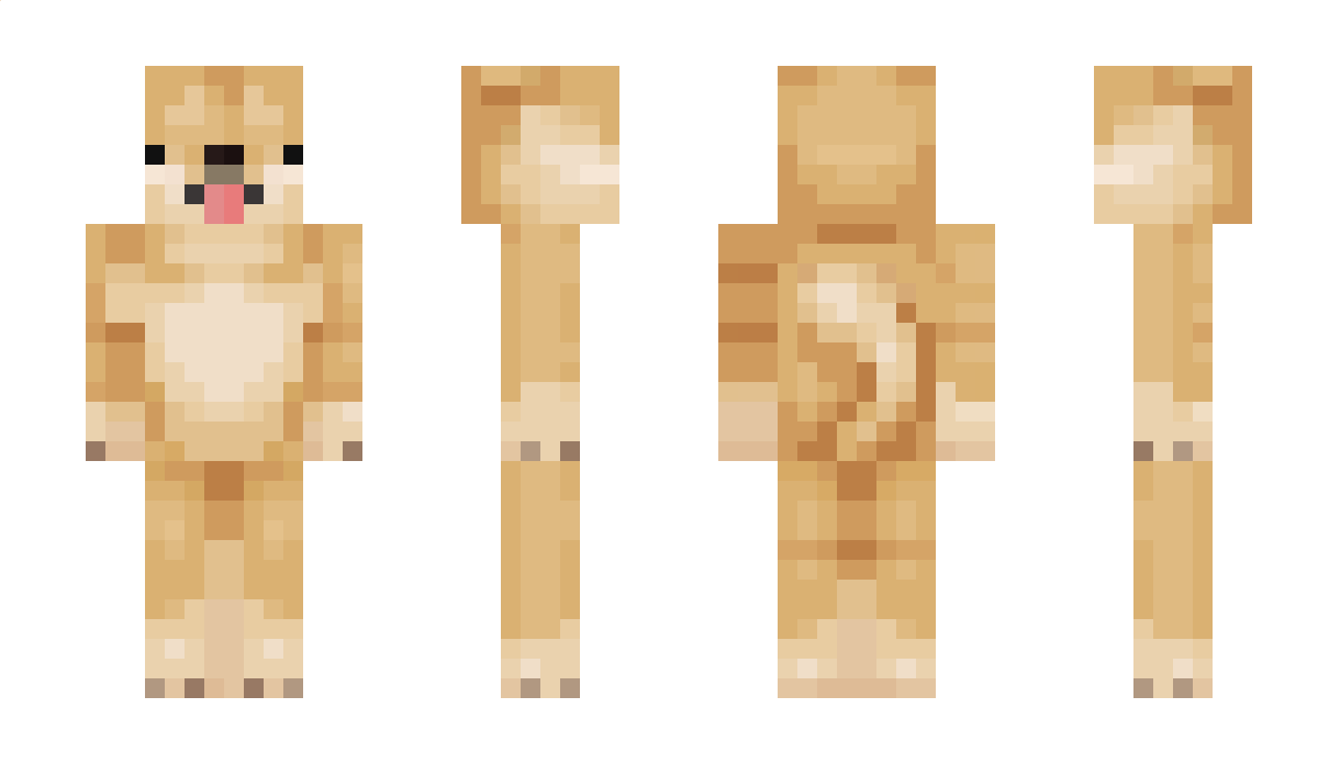 afro0o Minecraft Skin