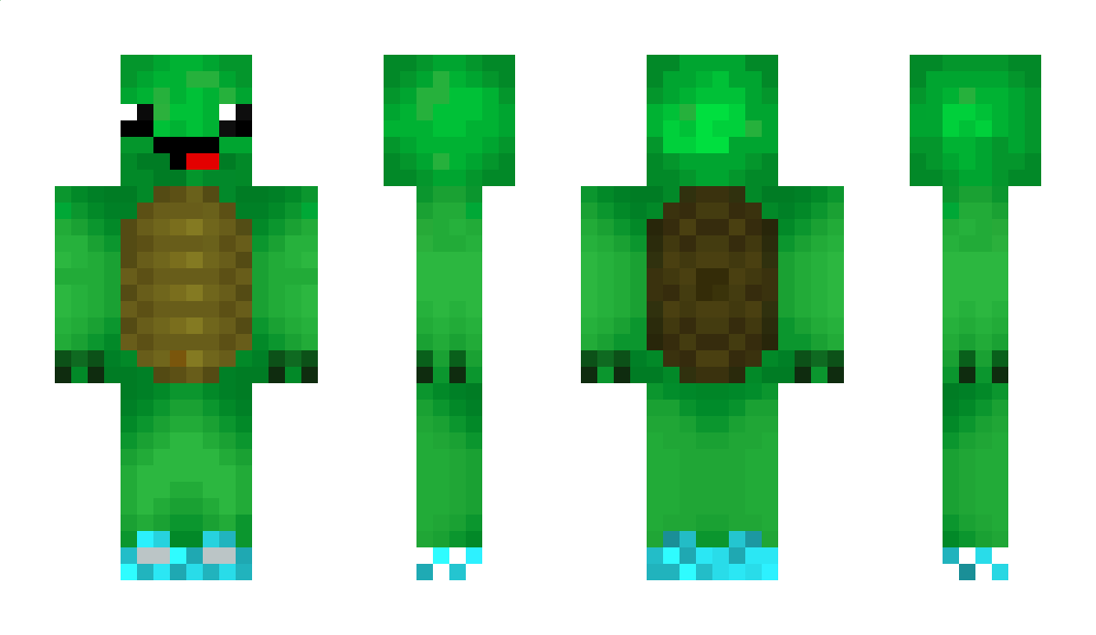 DumSkildpadde Minecraft Skin