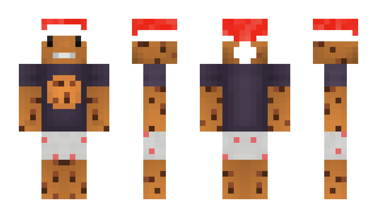 gruppenkanal Minecraft Skin