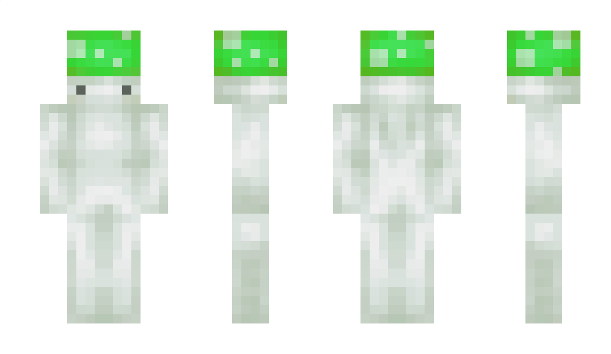 Nargoos Minecraft Skin