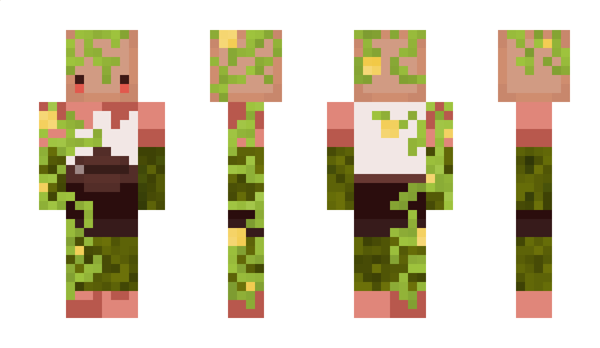 BoxMoss Minecraft Skin