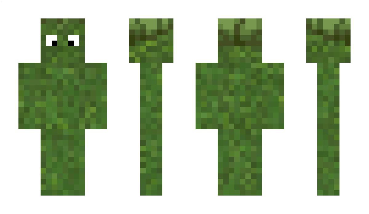 Grass_Individual Minecraft Skin