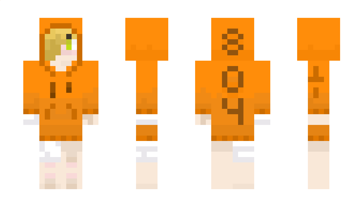 804 Minecraft Skin