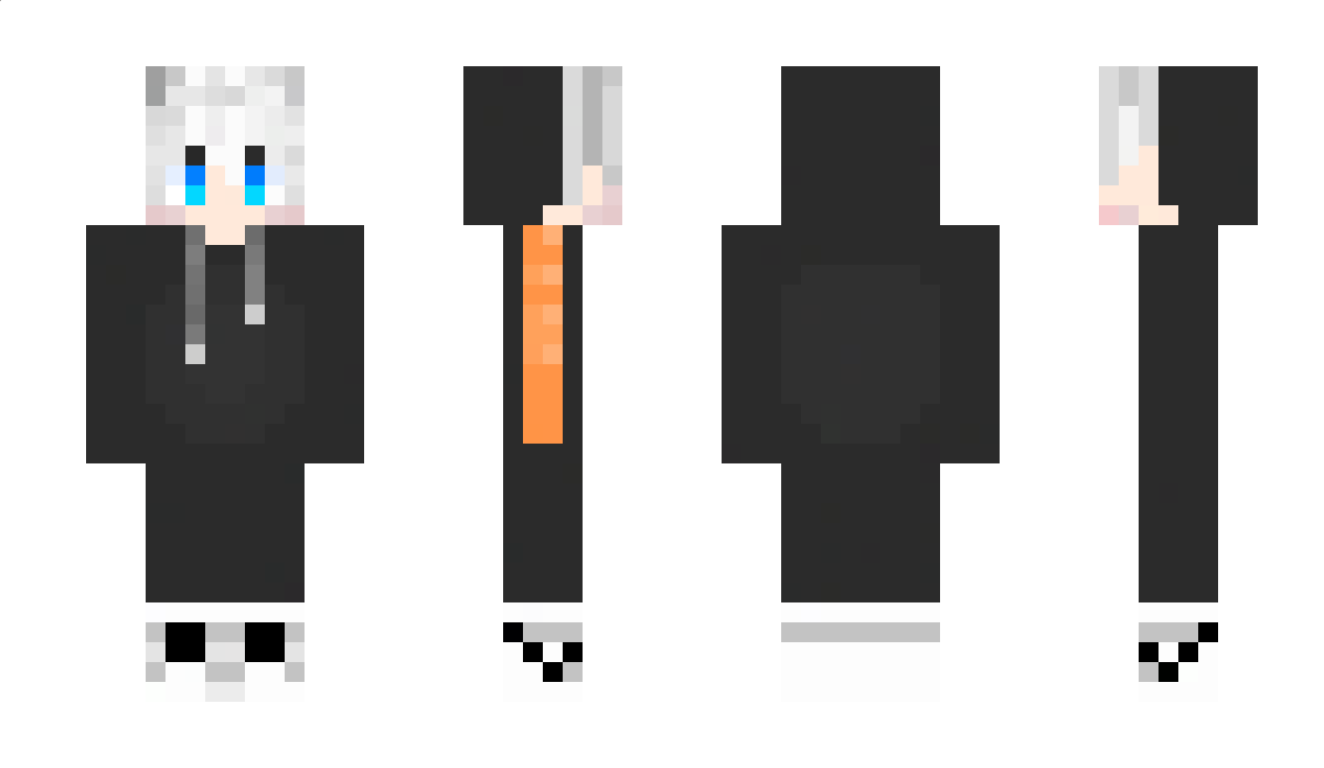 python_311 Minecraft Skin