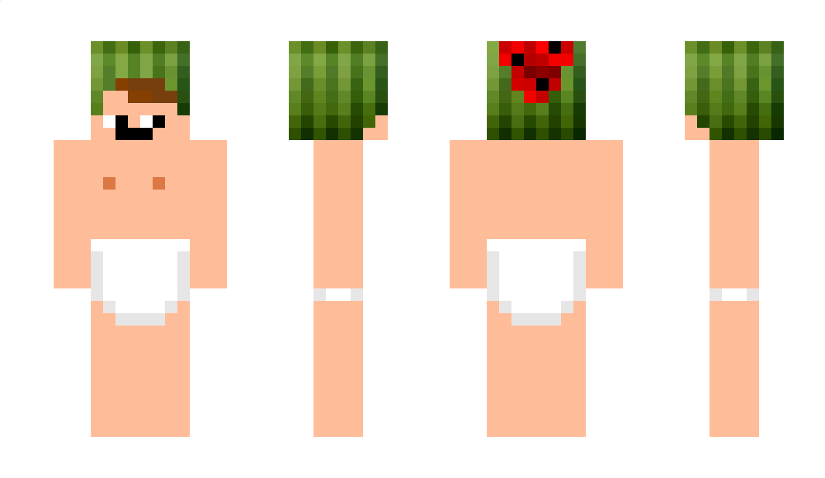 Popelnascher Minecraft Skin