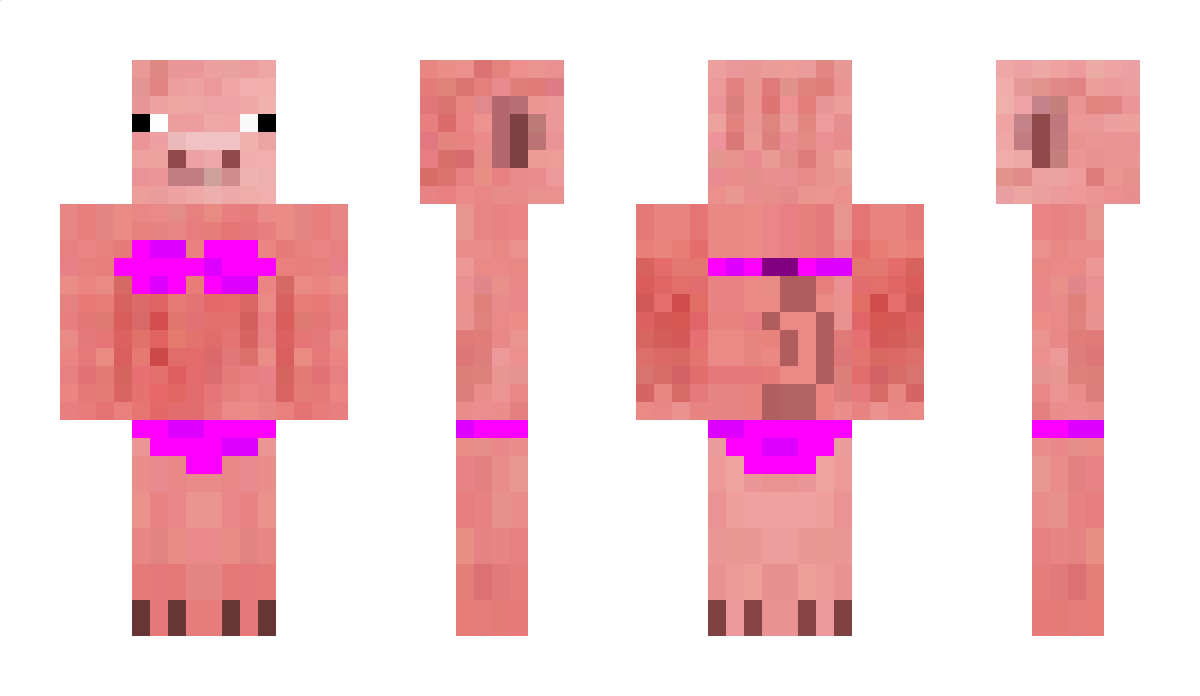 SimplePig Minecraft Skin