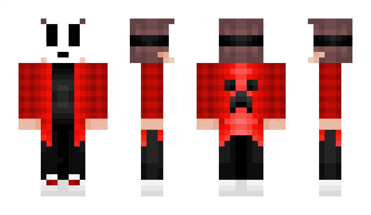 Davidgabi9 Minecraft Skin