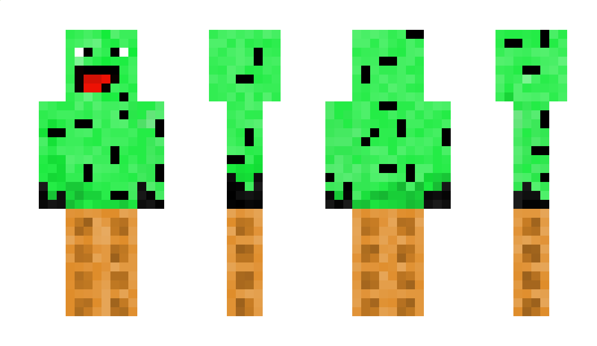 Mintchip13777 Minecraft Skin