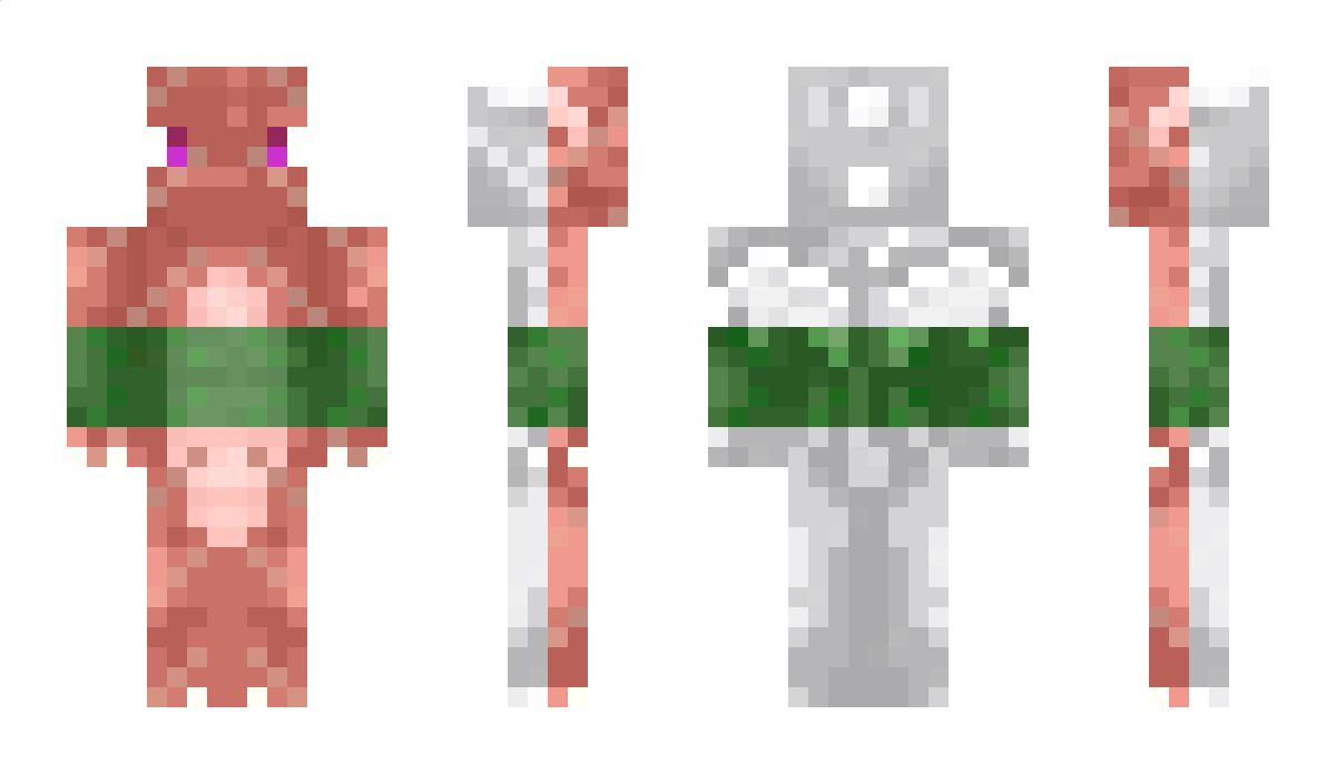 RyuuPhoenix Minecraft Skin