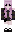 ToyotaGRSupra Minecraft Skin