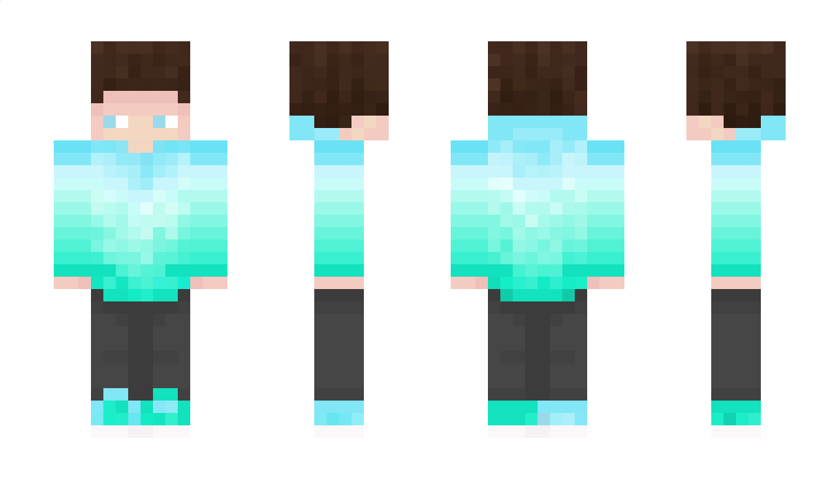 NewtofPhoenix Minecraft Skin