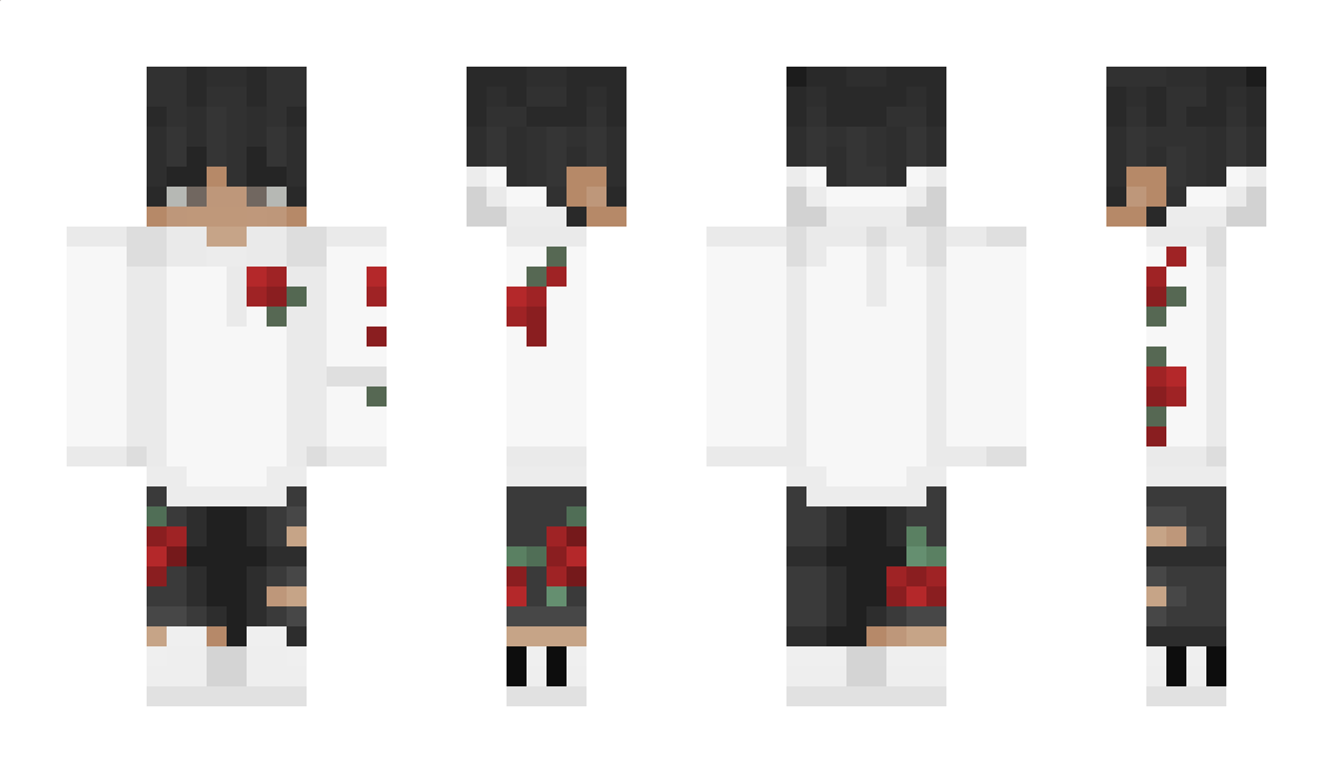 Ziriss_ Minecraft Skin