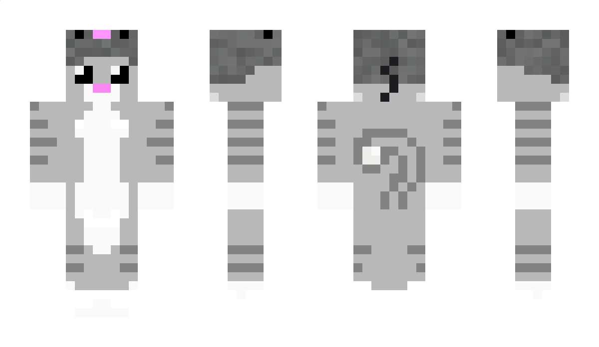 MrMeow500 Minecraft Skin