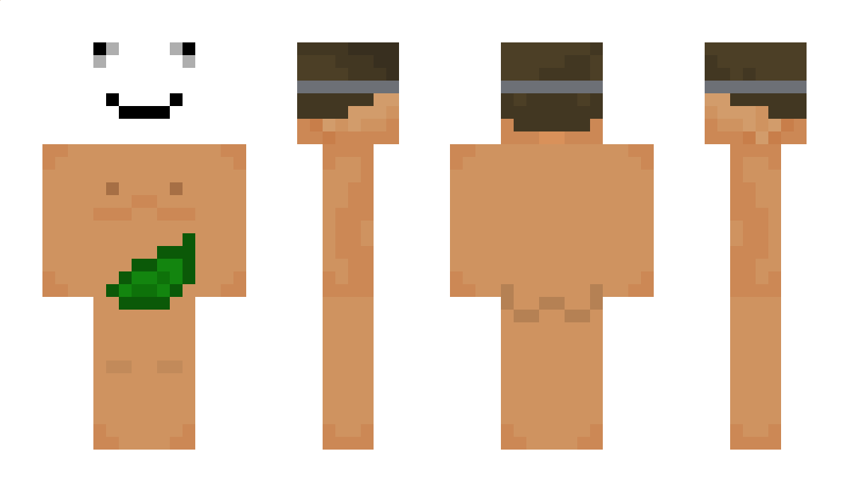 idkwattodo3 Minecraft Skin