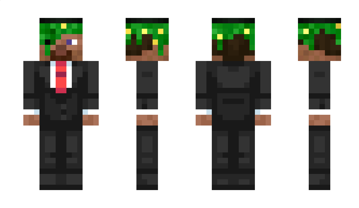 trashoflevillage Minecraft Skin