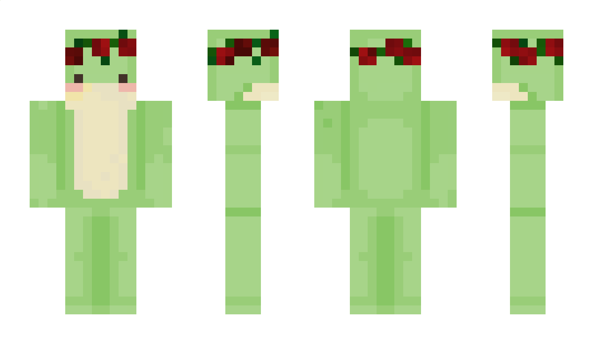 bigfatjuicyfrogs Minecraft Skin