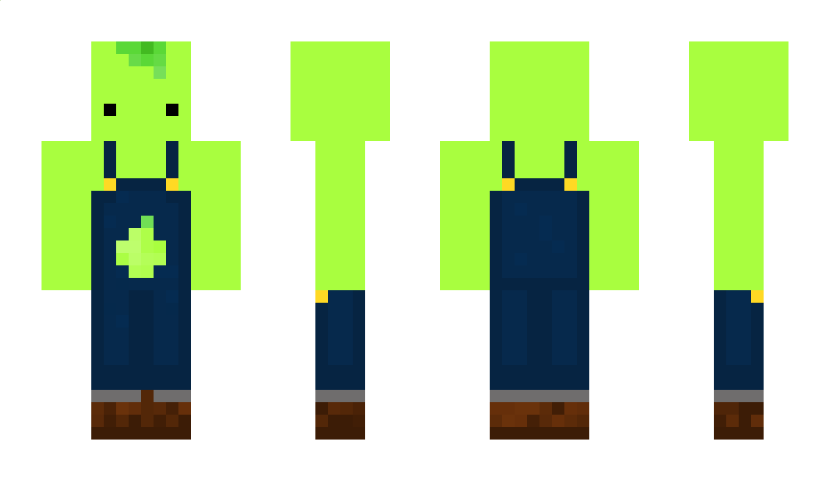 BackrunVR Minecraft Skin