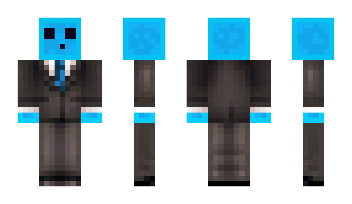 mypalcam Minecraft Skin