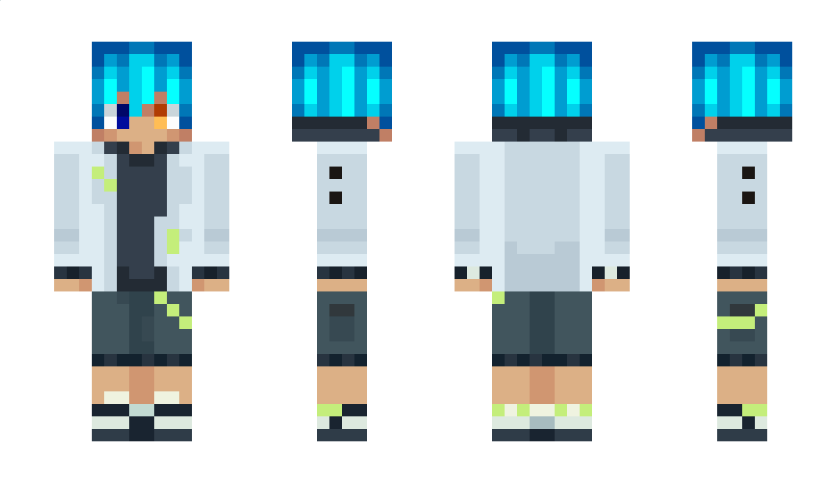 falconstarr Minecraft Skin