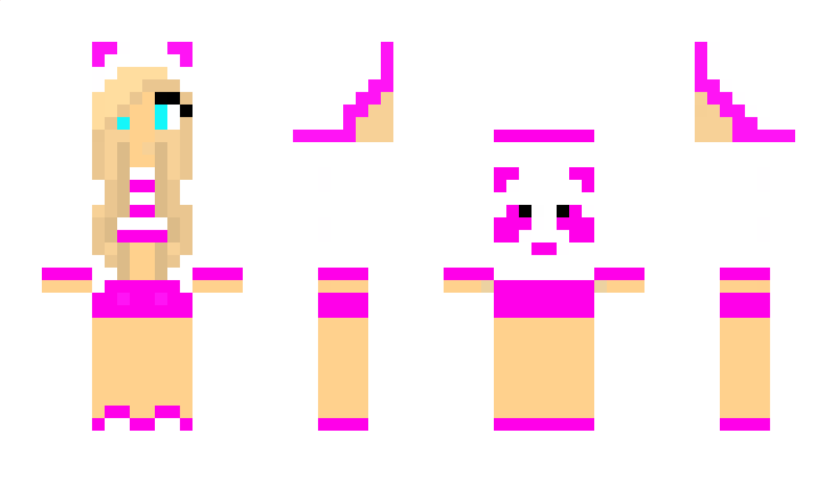 8jl Minecraft Skin